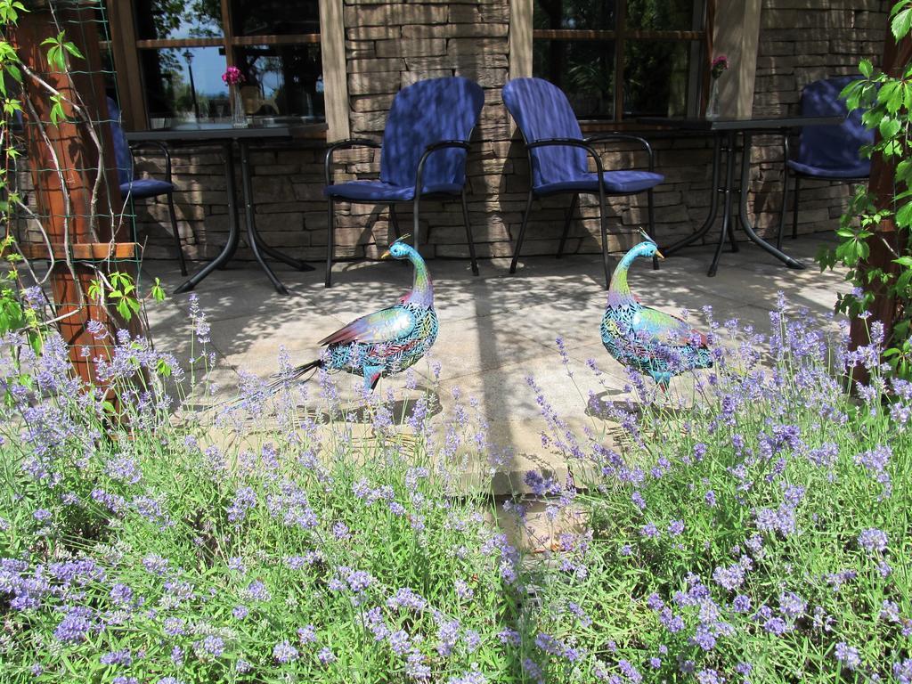 Penzion Eko Park Piestany Zewnętrze zdjęcie